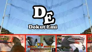 Download lagu Suara dekut tiung air saka rahmad mp3