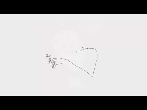 kaczka x zibex 'jeden dzień'