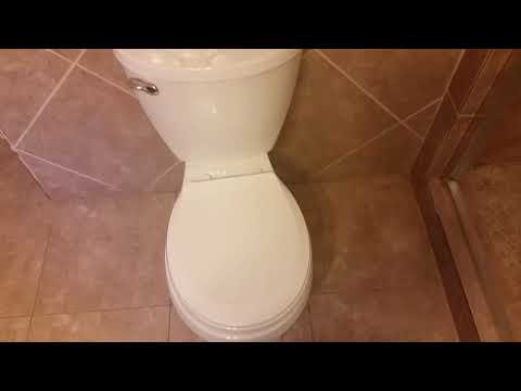 A last look at my old house.