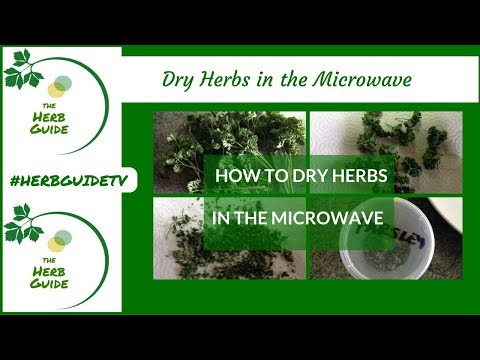 How to Dry Herbs in the Microwave|Drying Parsley
