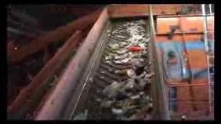 Il riciclaggio della plastica - Iren Emilia