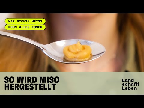 So wird Miso hergestellt