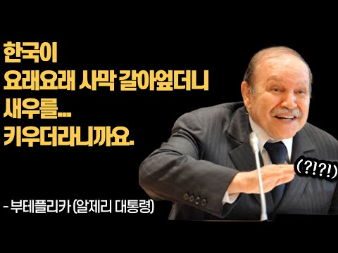 [유튜브]  "한국이 사막갈아엎더니 새우를 키우더라니까요"
