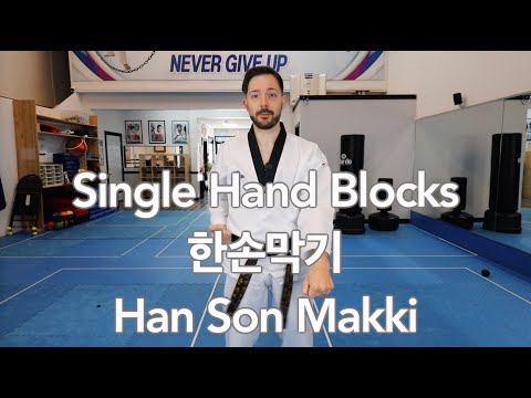 Taekwondo Fundamentals: Single hand blocks