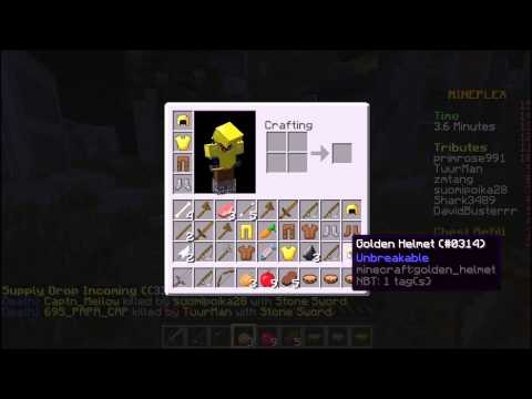 Minecraft Hunger Games #25 w/Shark3489! Teaming Is bannable!