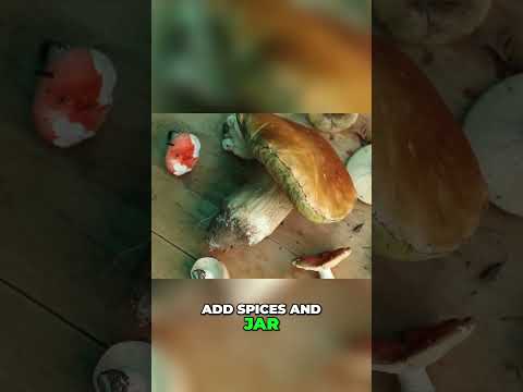 Preserving Mushrooms  Drying, Salting, Pickling, and Freezing Techniques