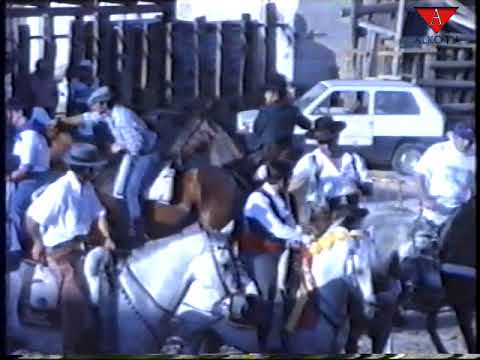 Carrera de cintas - San Roque