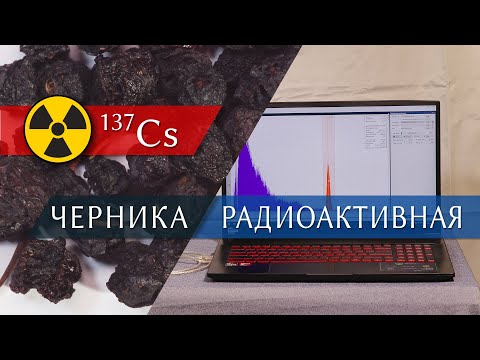 Черника радиоактивная, сушёные ягоды из интернет-магазина Wildberries. Качественный анализ.