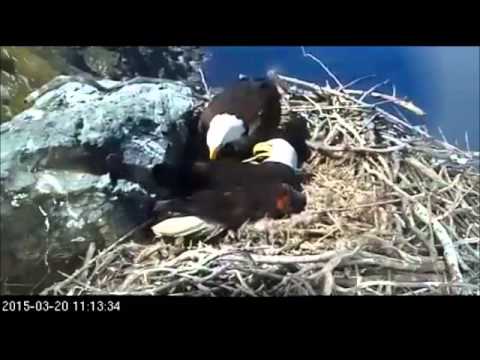 West End / 03.21.2015 / Surprise, I am home / Do not put this stick on me.