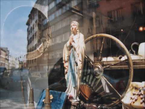 NPaT - PM - NP&T -  želví svět