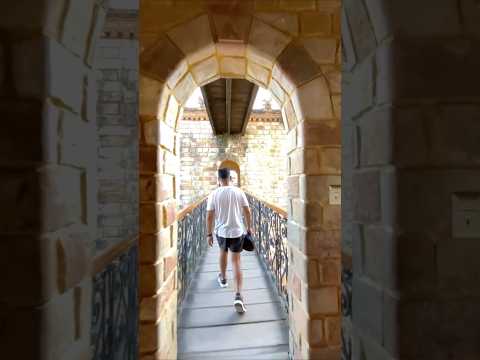 El misterio del Castillo de Lamas 🏰 #CastilloDeLamas #Lamas #TurismoPeruano #SelvaPeruana