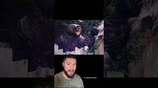 Download lagu Animals That Became SeriaI KiIIers Part 1 #disturbing mp3 Download lagu Animals That Became SeriaI KiIIers Part 1 #disturbing mp3