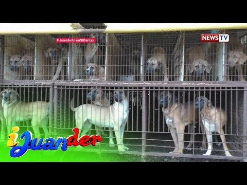 Isang linggo mangayayat sa pamamagitan ng 3kg Para sa isang protina para sa pagbaba ng timbang menu