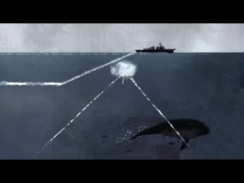 A mélység pusztító hangjai  (dokumentumfilm) Teljes film