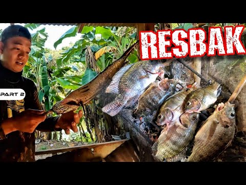 P2 - Niresbakan Namin ang mga Jumbo Tilapya - EP1652