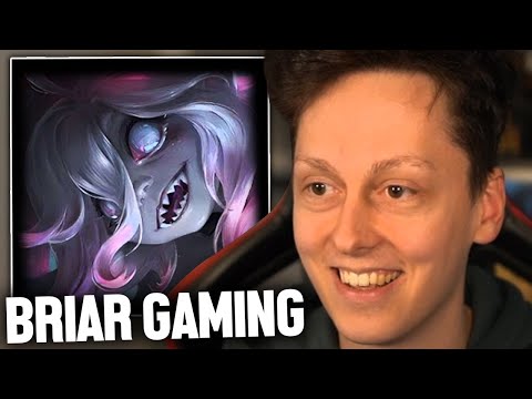 BRIAR GAMING BROKEN?!