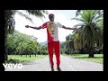 Lutan Fyah Samora What You Came For Official Video