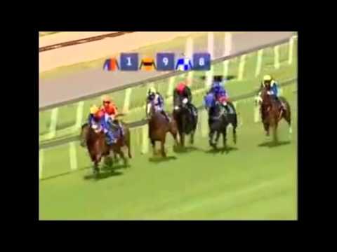 2014 02 08 saf bouclette top