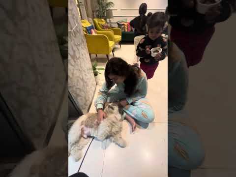 COCO ki massage ho rahi hai