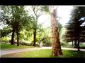 Neil Sedaka - Little Devil - Pequeño Diablo - Central Park Nueva York