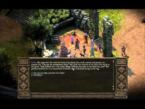 Let's Play: Pillars of Eternity 154