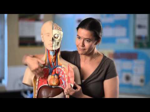 ACG Strathallan College - International