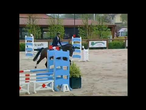 Cascari (Cassini 1 x Carpaccio) 4 Years Old