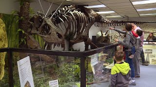 Download lagu Earth Experience Middle Tennessee's Museum of Natural History mp3