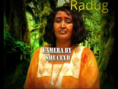 nimco yaasiin, dabaylaha (dabayluhu way sitaan)