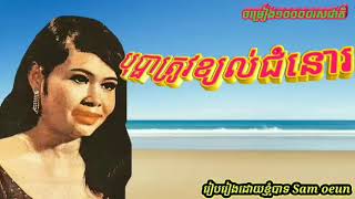 បុប្ផាត្រូវខ្យល់ជំនោរ (សម្រស់បុប្ផា) ច្រៀងដោយ អ្នកស្រី ឈួនម៉ាឡៃ
