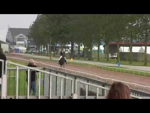 WM 2015: Gletting vom Kronshof