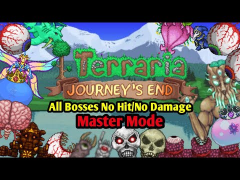 Terraria 1.4 All Bosses Fight Master Mode NO HIT/NO DAMAGE (Re-upload)