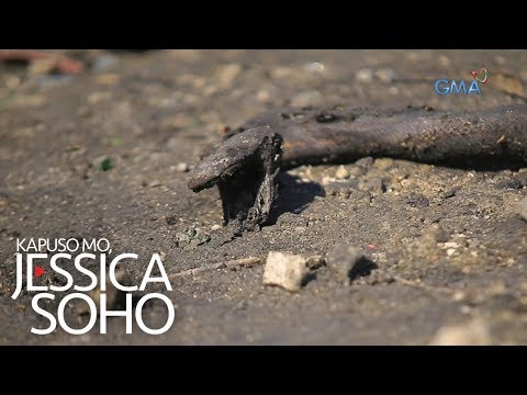 Kapuso Mo, Jessica Soho: Tatlong sawa, nasunog sa palengke sa Bohol!