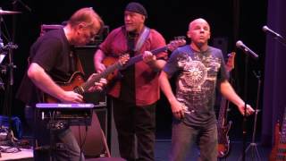 Racing In A - The Steppes Live