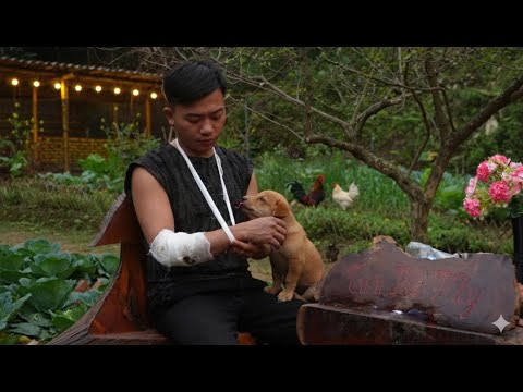 #22 CEO Leaving a Million-Dollar Life to Save What Truly Matters