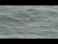 Debris, Bodies Found in Search for Missing AirAsia Flight 8501 Debris, Bodies Found in Search for Missing AirAsia Flight 8501