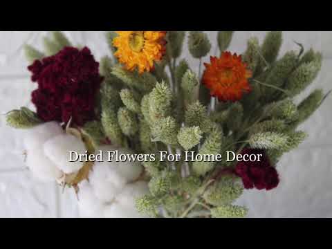 Dried Flowers For Home Decor | BloomyBliss For Your All Floral & Herbal Needs