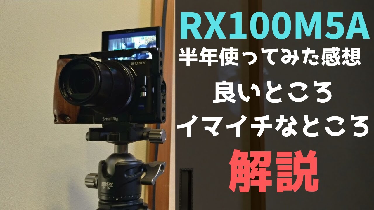 レンタル - SONY(ソニー)サイバーショット DSC-RX100M5A レンタル - SONY(ソニー)サイバーショット DSC-RX100M5A
