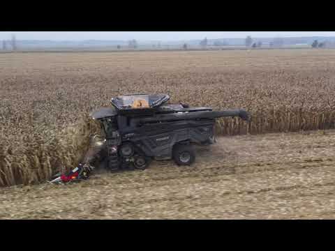 Fendt Ideal 9 | Corn Harvest 14km/h