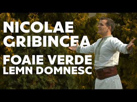 Nicolae Gribincea - Foaie verde lemn domnesc