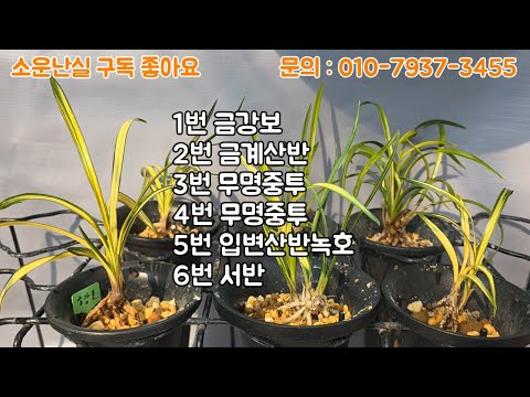 유튜브 썸네일
