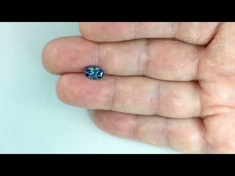 sapphire montana 12 2586 VD