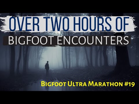 Bigfoot ULTRA MARATHON #19 - Over TWO HOURS of True Bigfoot Encounters!