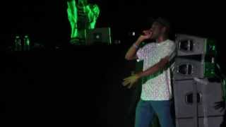 Tyler The Creator - Colossus - Live @ Camp Flog Gnaw Odd Future ( ofwgkta ) Carnival 11-9-13 in HD