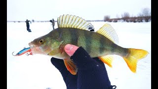 Зимняя рыбалка на нижней волги