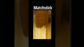 Download lagu Things in 1000x zoom...||...Masko#shorts#1000xzoom#microscope mp3