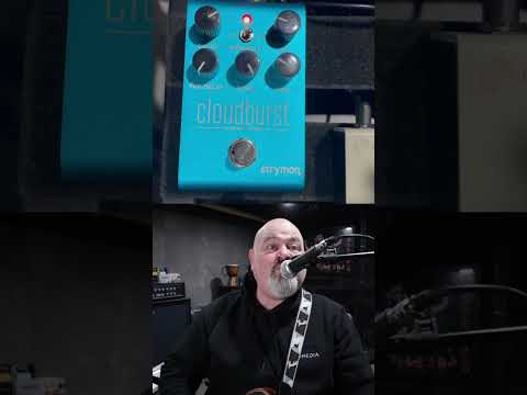 Strymon Cloudburst reverb on vocals with harmoniser