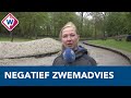 Drie zwemgebieden krijgen nu al negatief zwemadvies - OMROEP WEST