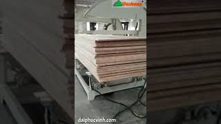 MÁY LẬT VÁN NGUYÊN KIỆN TRONG DC SX VÁN GHÉP CỰC HIỆU QUẢ
