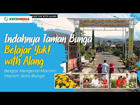 The Beauty of Flower Gardens | Let's Learn! with Alang - Learn to Recognize Different Types of Fl...